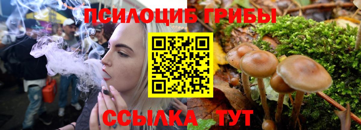 Рубцовск  даркнет сайт  Вход с VPN  Псилоцибиновые грибы мухоморы 